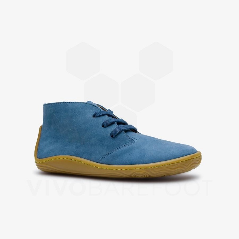 Kids' Vivobarefoot Gobi Addis Juniors Shoes Indigo | NZ431XG