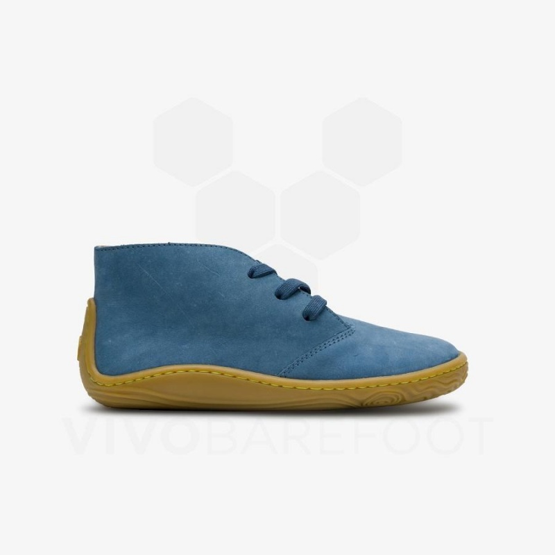 Kids' Vivobarefoot Gobi Addis Juniors Shoes Indigo | NZ431XG